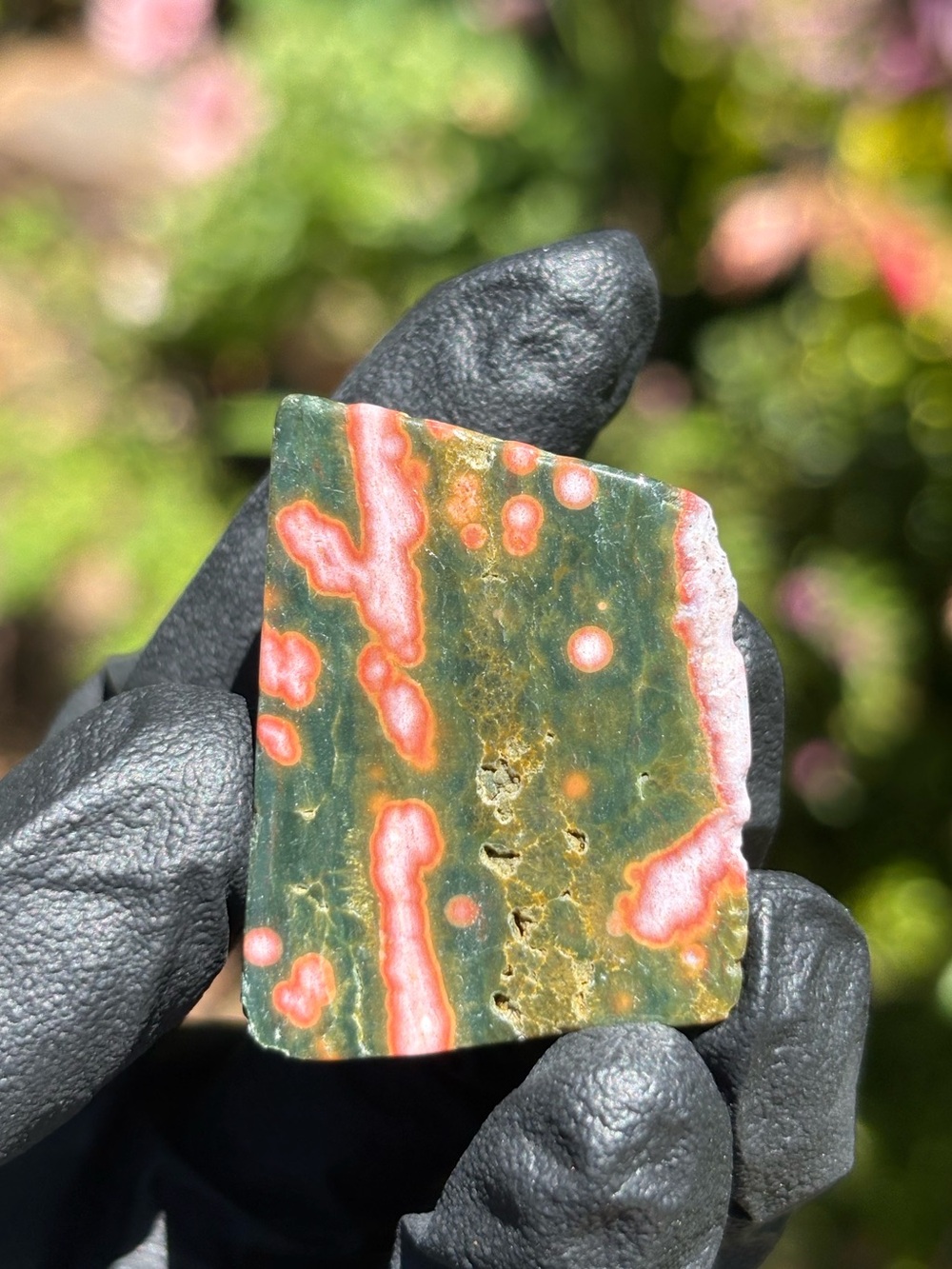 Discounted* Small Ocean Jasper Crystal Freeform with Chip - Sea Jasper